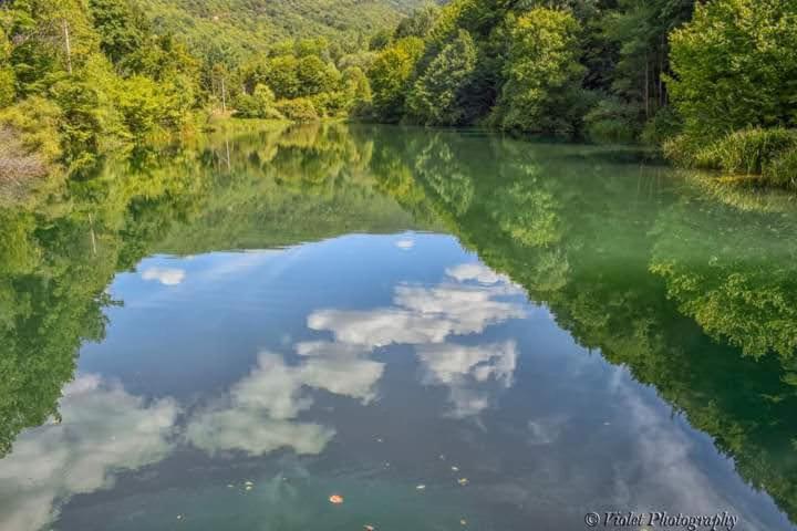 Apartmani Grza Paraćin Exteriér fotografie