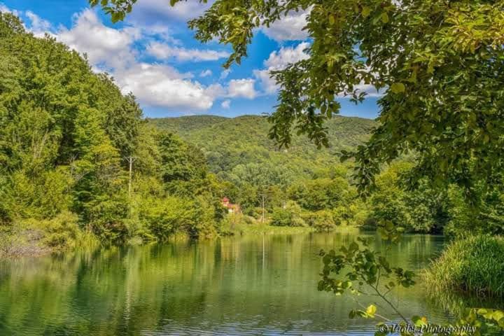 Apartmani Grza Paraćin Exteriér fotografie