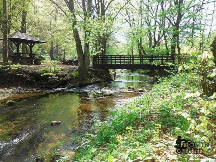 Apartmani Grza Paraćin Exteriér fotografie