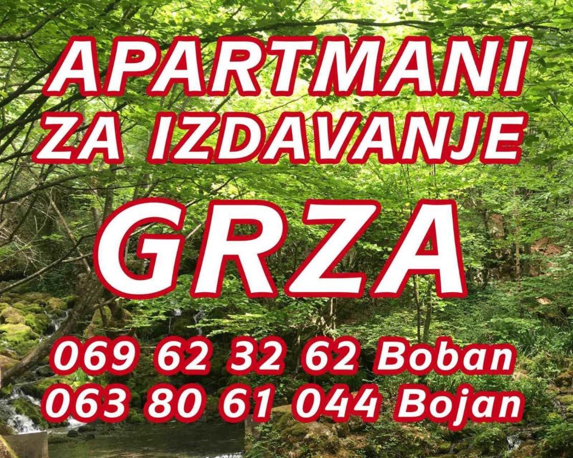 Apartmani Grza Paraćin Exteriér fotografie