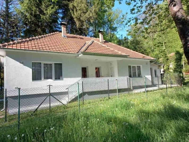 Apartmani Grza Paraćin Exteriér fotografie