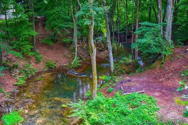 Apartmani Grza Paraćin Exteriér fotografie