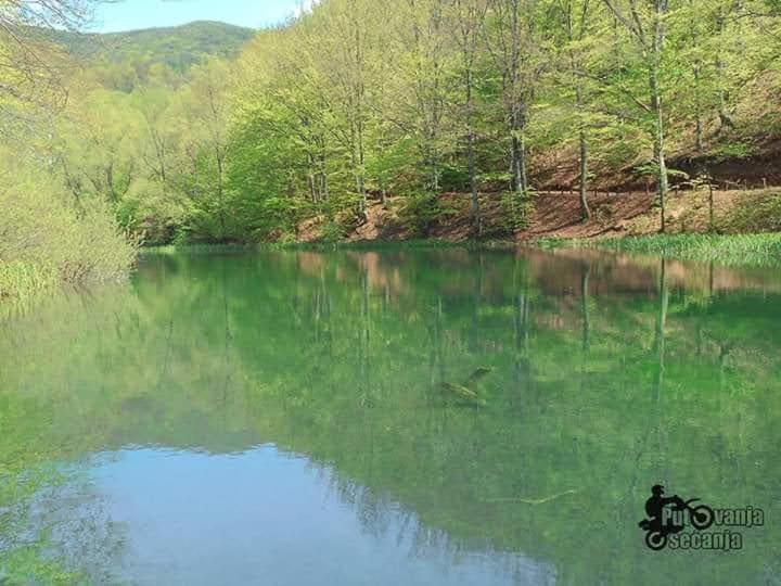 Apartmani Grza Paraćin Exteriér fotografie