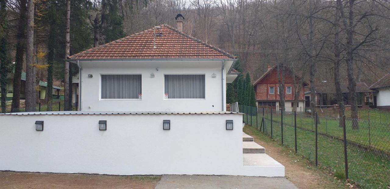 Apartmani Grza Paraćin Exteriér fotografie