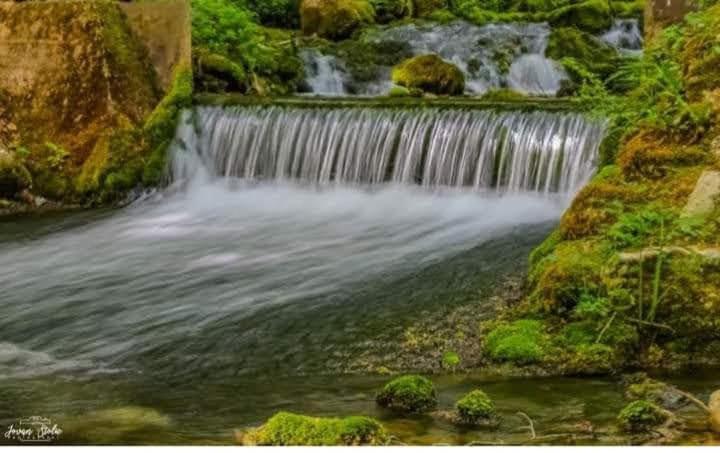 Apartmani Grza Paraćin Exteriér fotografie
