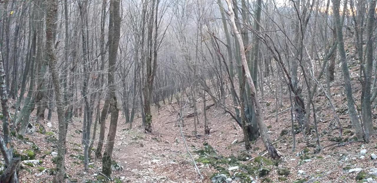Apartmani Grza Paraćin Exteriér fotografie