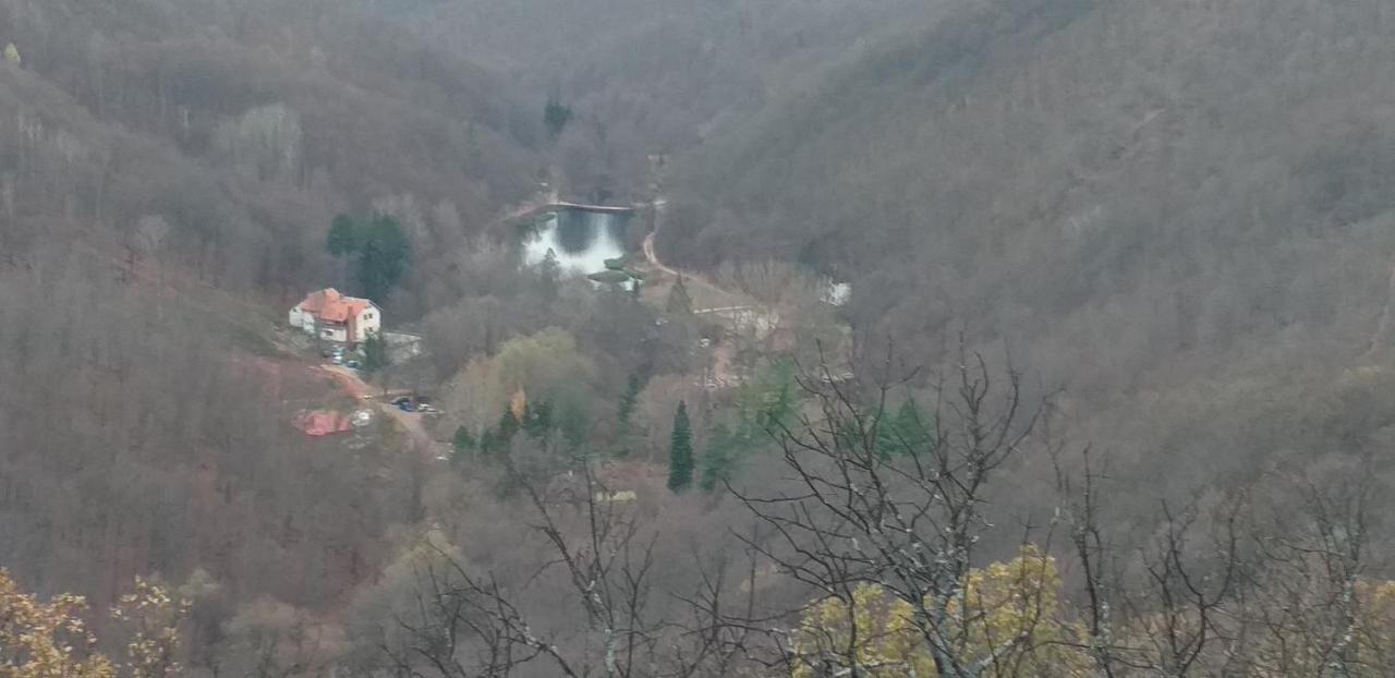 Apartmani Grza Paraćin Exteriér fotografie