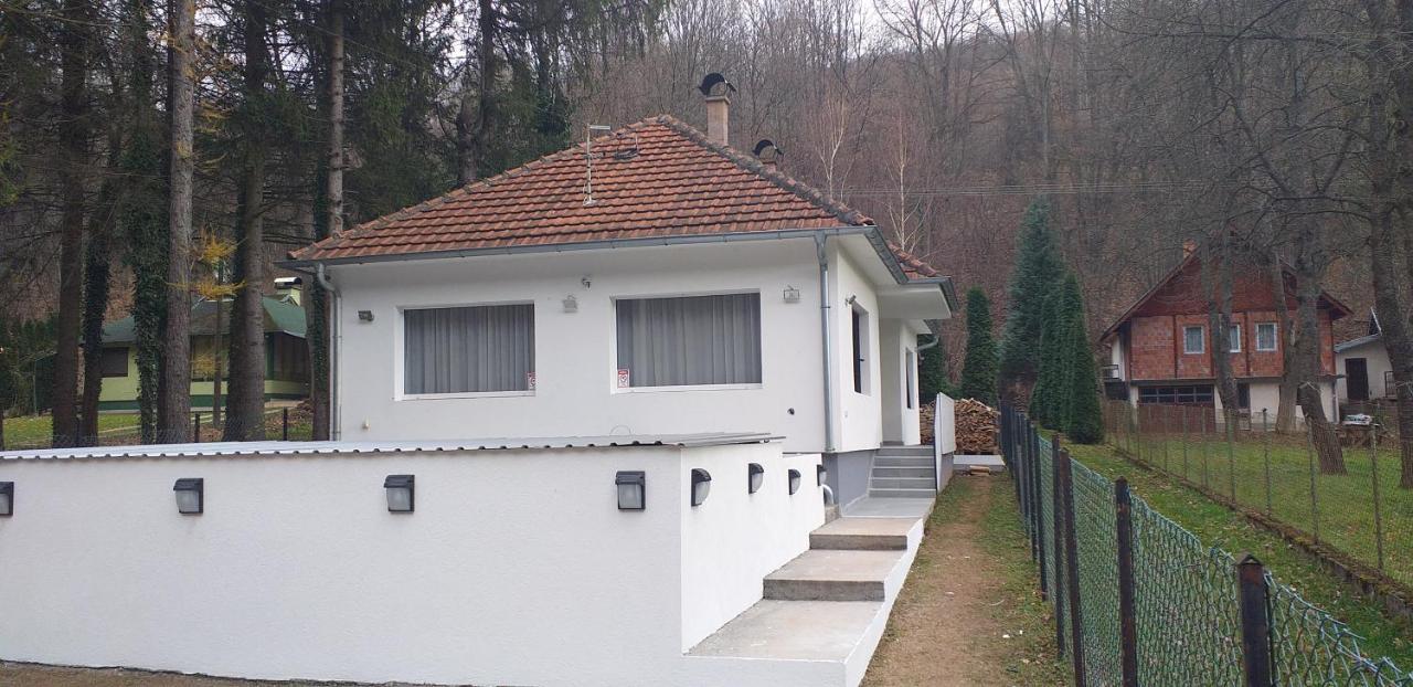 Apartmani Grza Paraćin Exteriér fotografie