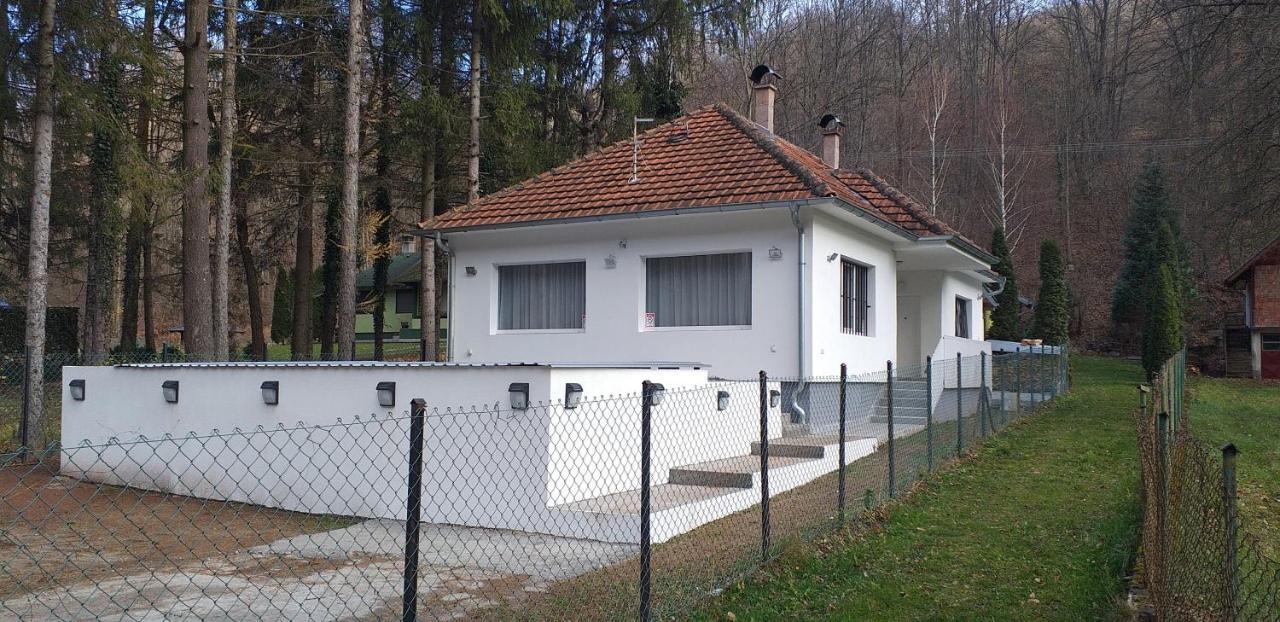 Apartmani Grza Paraćin Exteriér fotografie