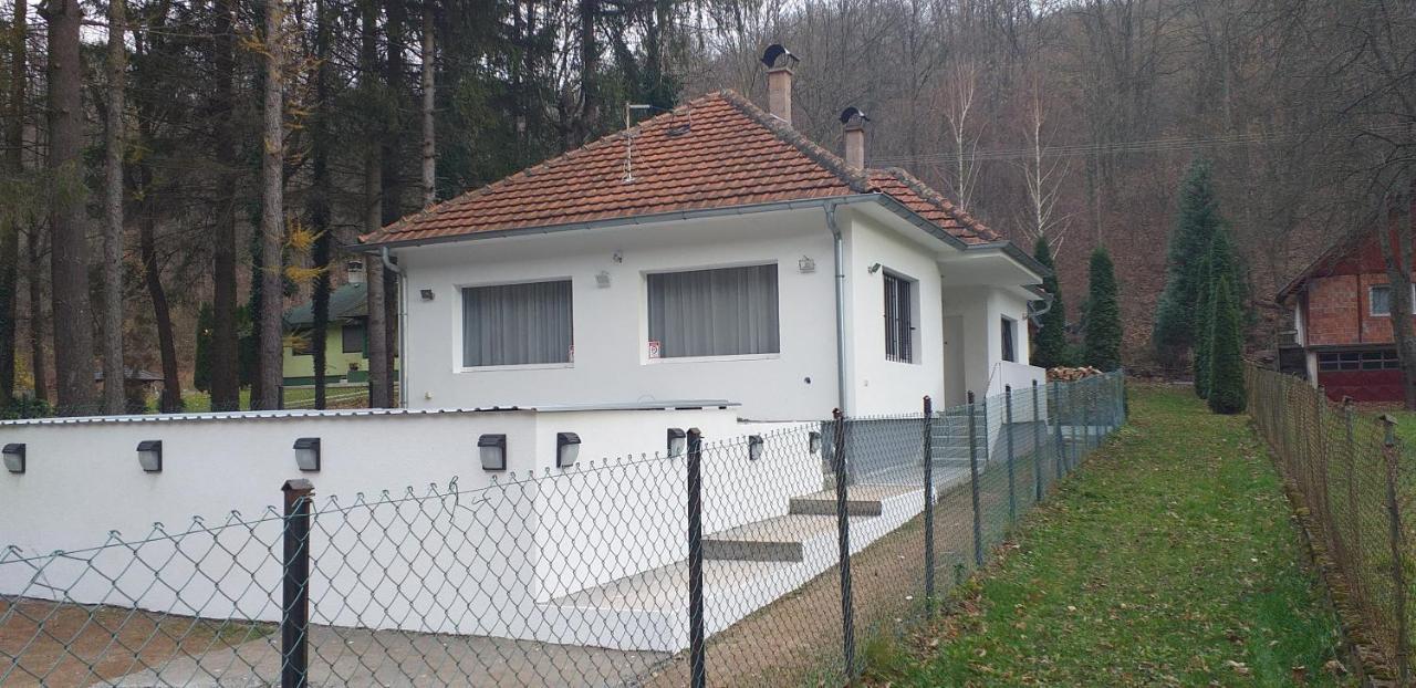 Apartmani Grza Paraćin Exteriér fotografie