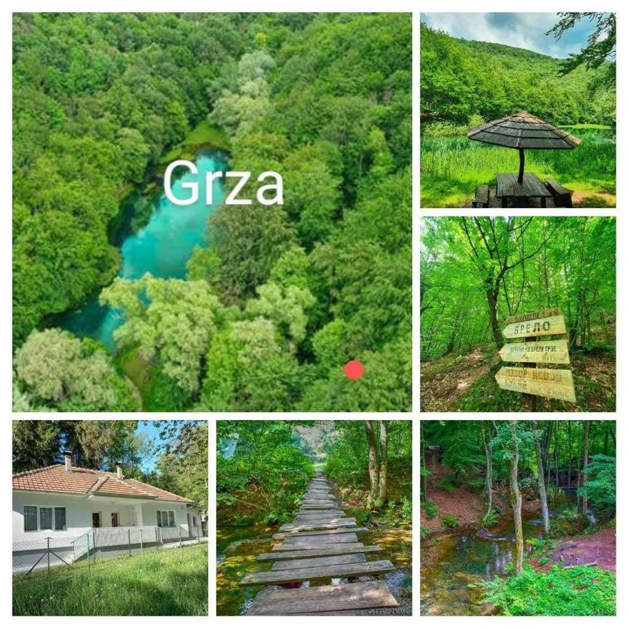 Apartmani Grza Paraćin Exteriér fotografie
