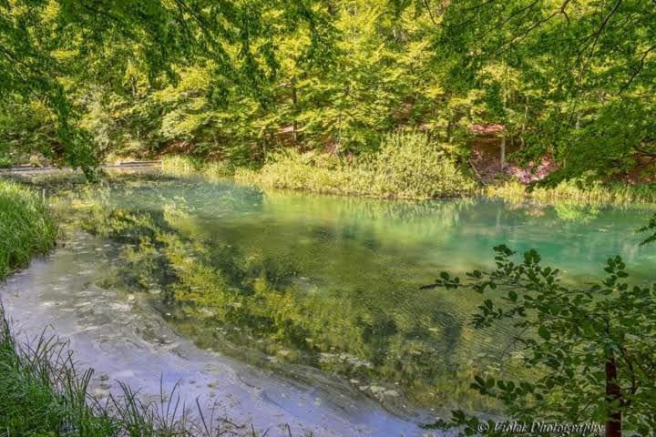 Apartmani Grza Paraćin Exteriér fotografie