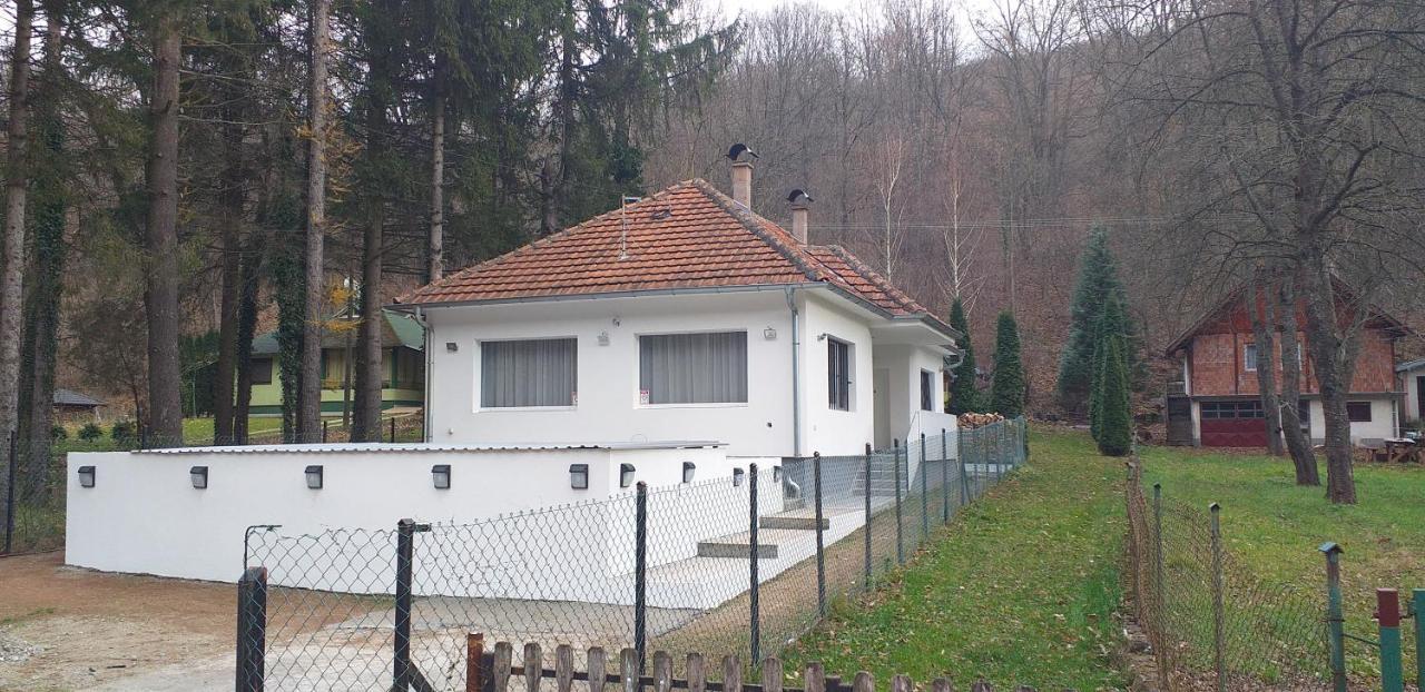 Apartmani Grza Paraćin Exteriér fotografie
